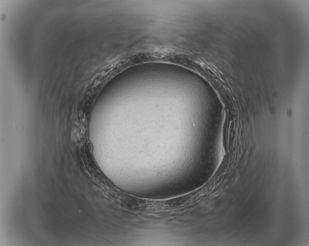 X0000085271349200703231730