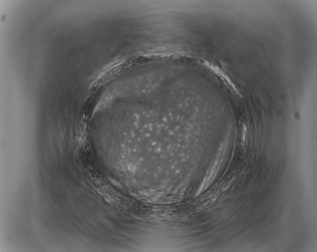 X0000085271350200703231730