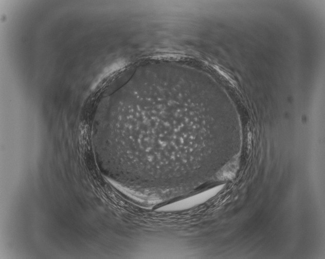 X0000085271351200703231730