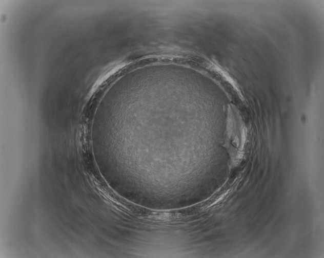 X0000085271352200703231730