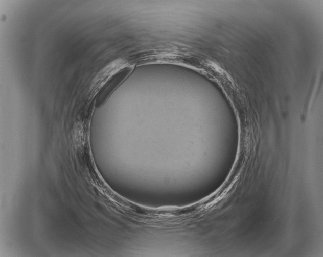 X0000085271353200703231730