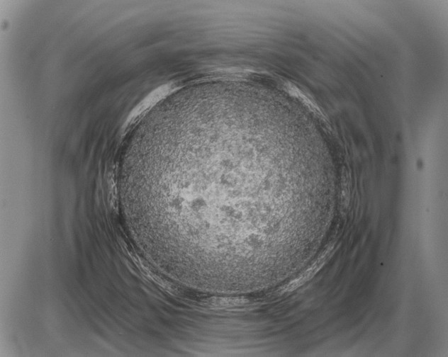 X0000085271354200703231730