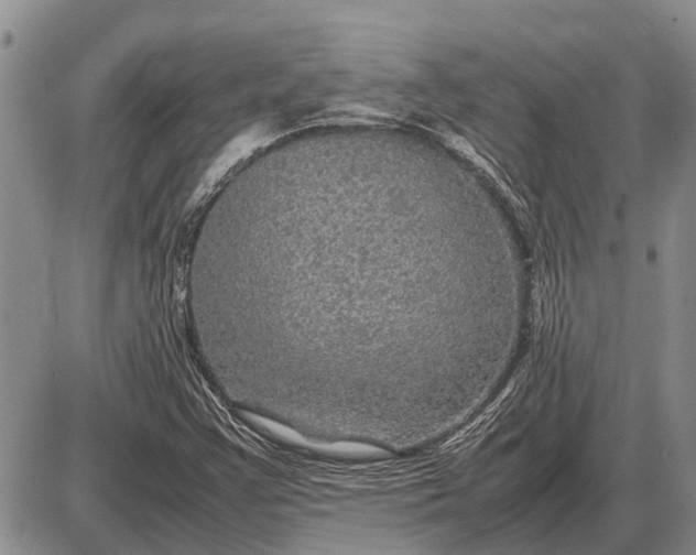 X0000085271355200703231730