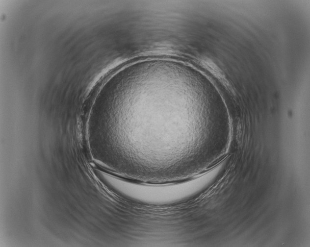 X0000085271356200703231730