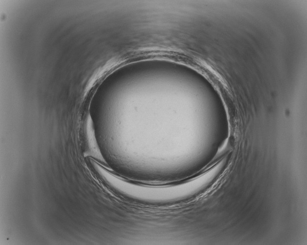 X0000085271357200703231730