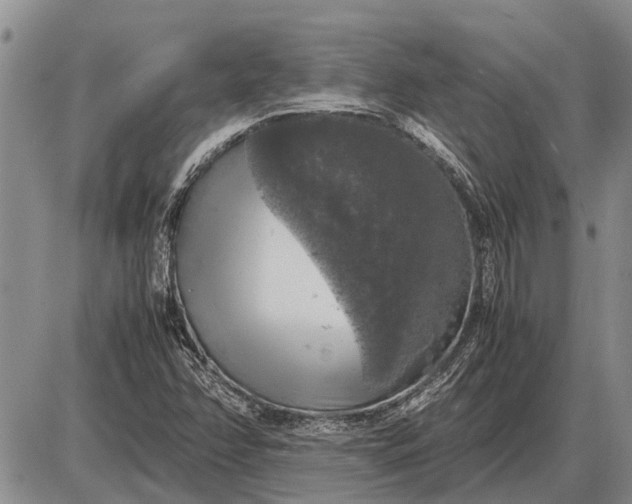 X0000085271358200703231730