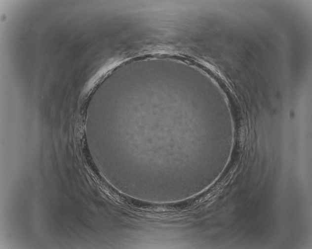 X0000085271359200703231730