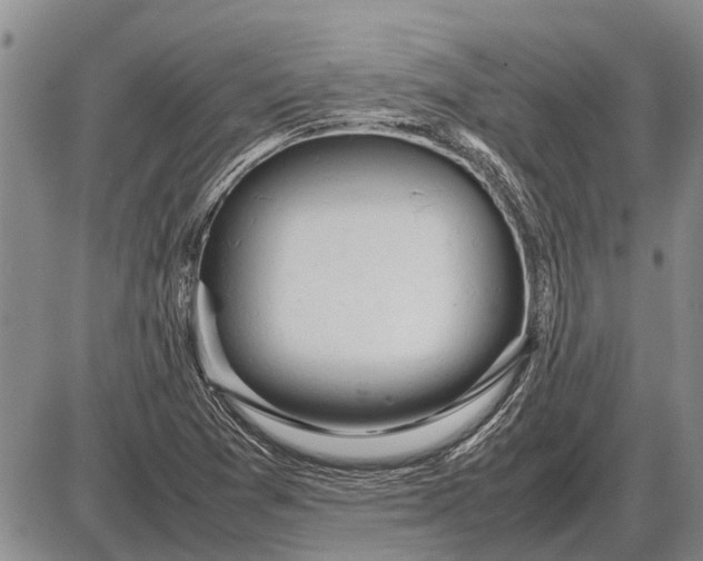 X0000085271361200703231730