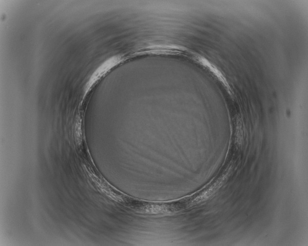 X0000085271362200703231730