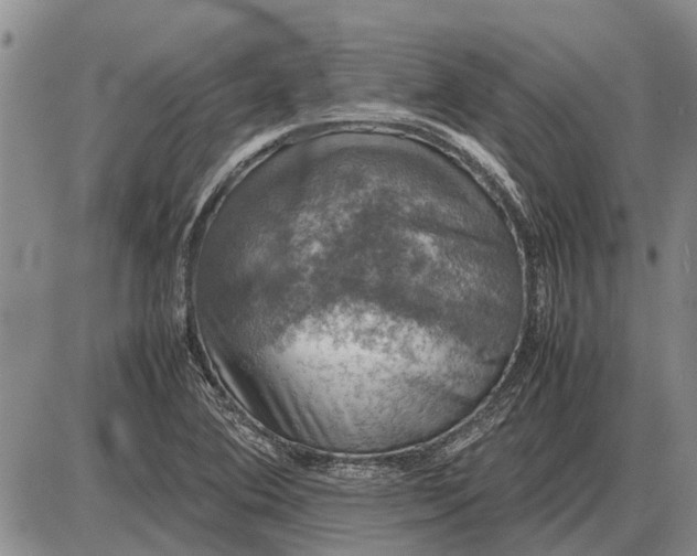 X0000085271364200703231730