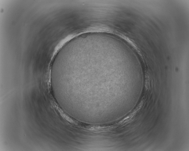 X0000085271366200703231730