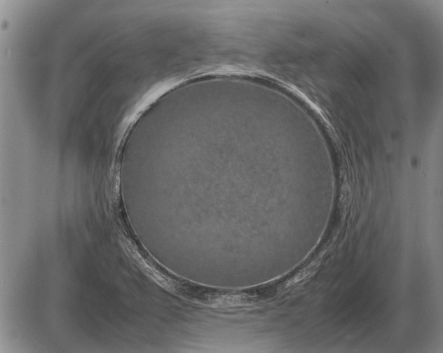 X0000085271367200703231730