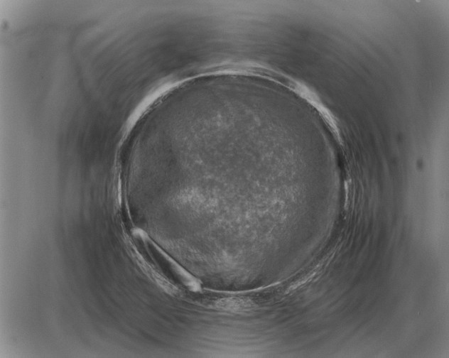 X0000085271368200703231730