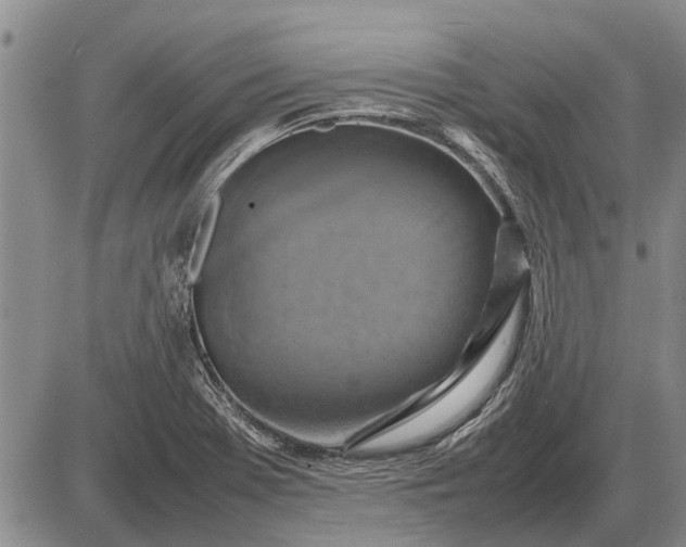 X0000085271369200703231730