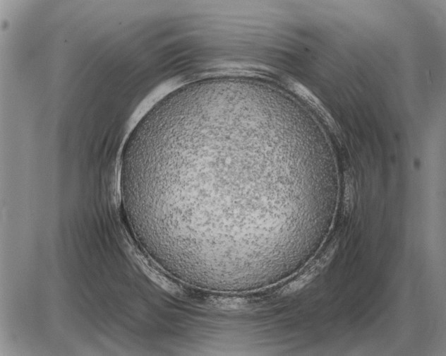 X0000085271370200703231730