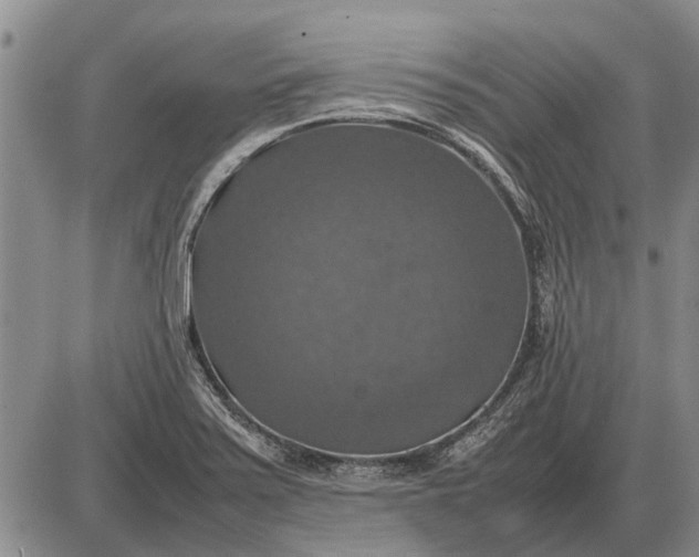 X0000085271371200703231730