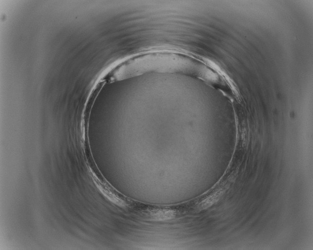 X0000085271372200703231730