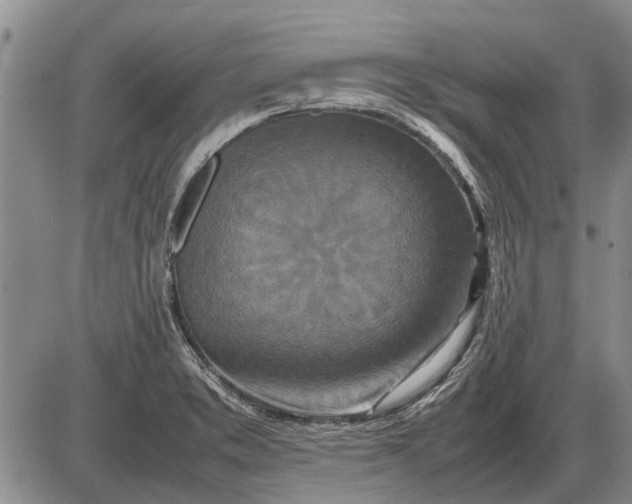 X0000085271373200703231730