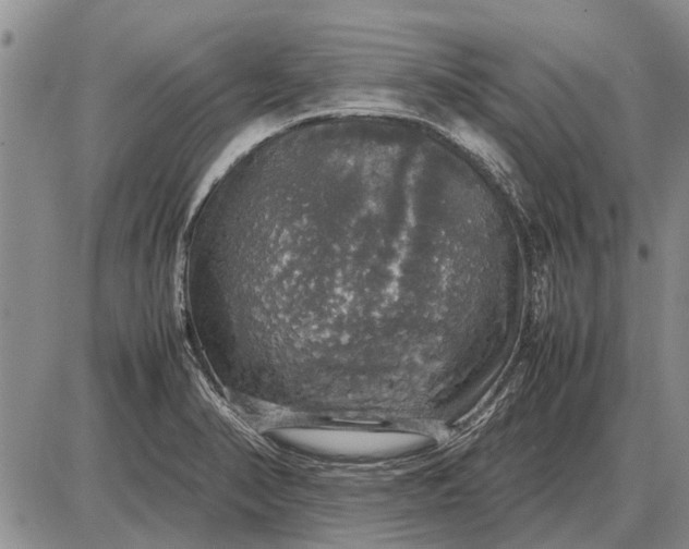 X0000085271374200703231730