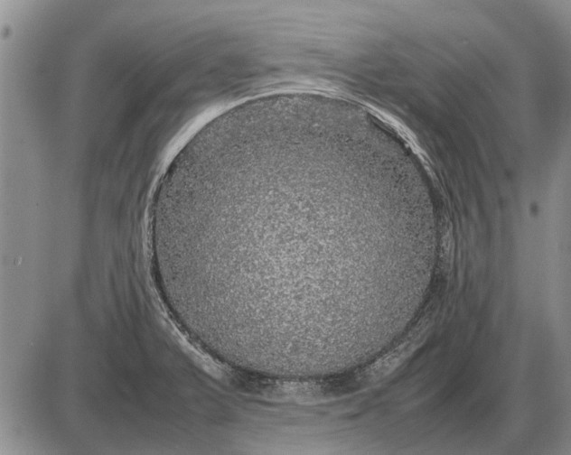 X0000085271375200703231730