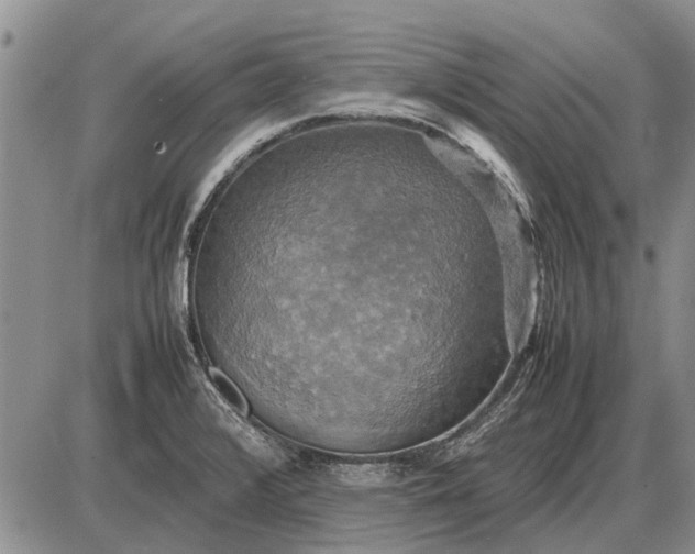 X0000085271376200703231730