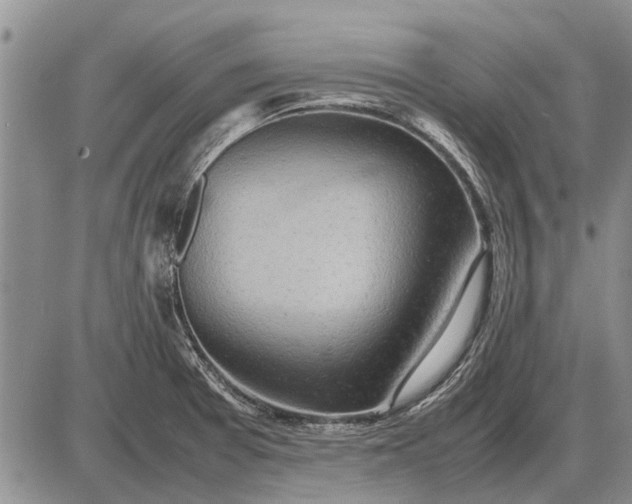 X0000085271377200703231730