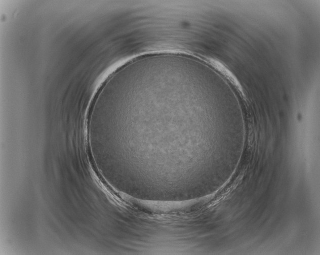 X0000085271380200703231730