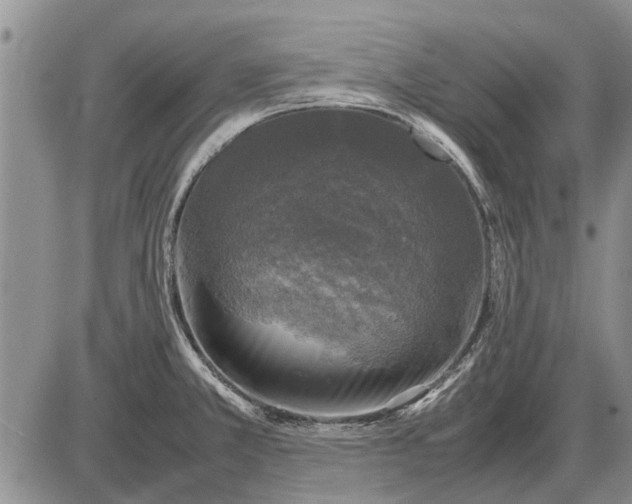 X0000085271381200703231730