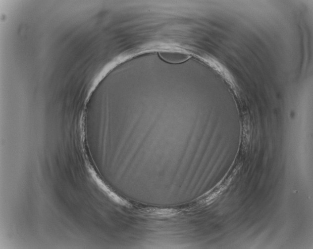 X0000085271382200703231730