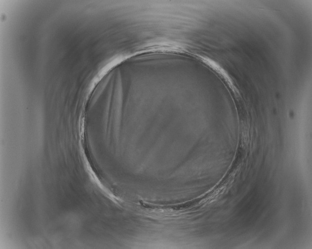 X0000085271383200703231730