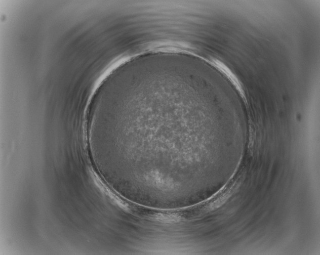 X0000085271384200703231730