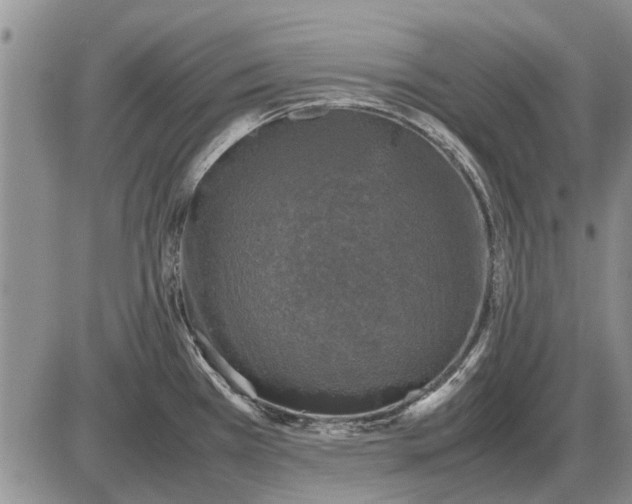 X0000085271385200703231730