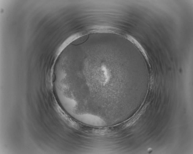 X0000085271386200703231730