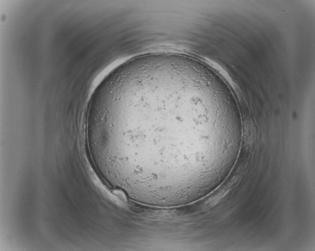 X0000085271387200703231730