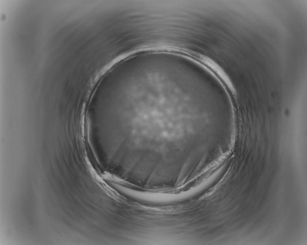 X0000085271388200703231730