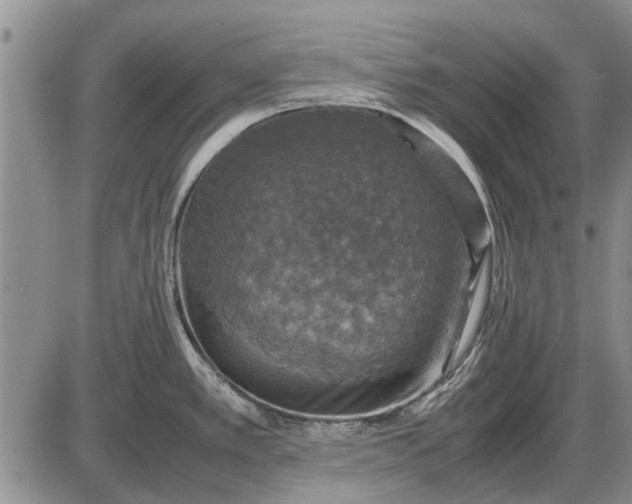 X0000085271389200703231730