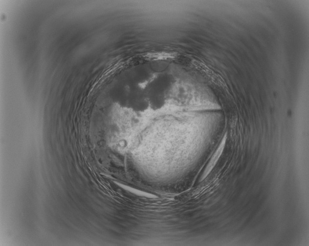 X0000085271393200703231729