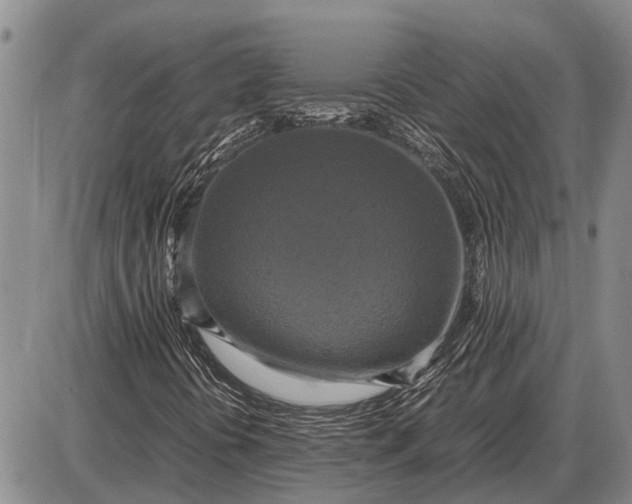 X0000085271394200703231729