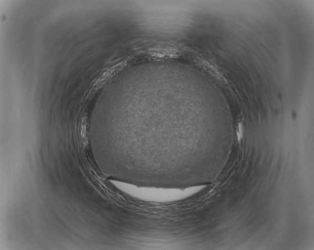 X0000085271396200703231729