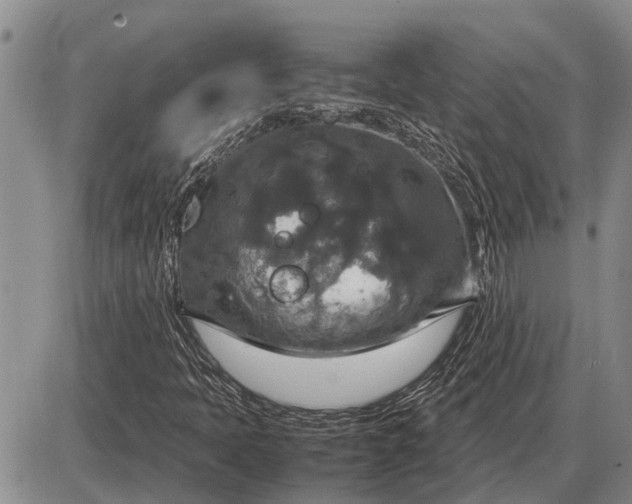 X0000085271397200703231729