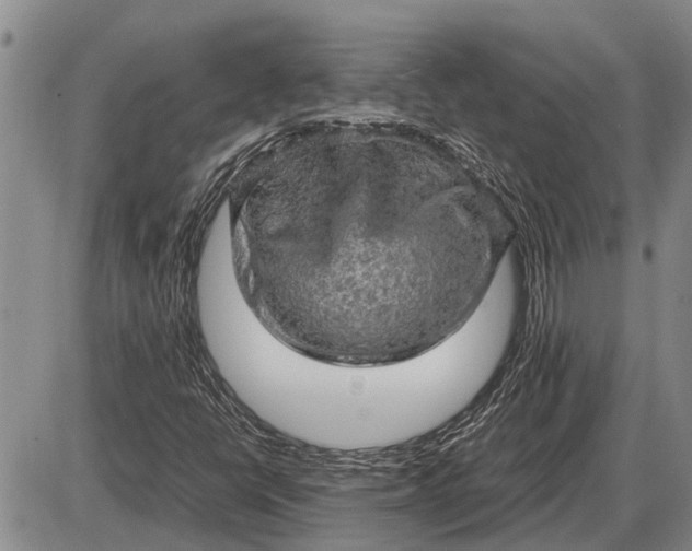 X0000085271398200703231729