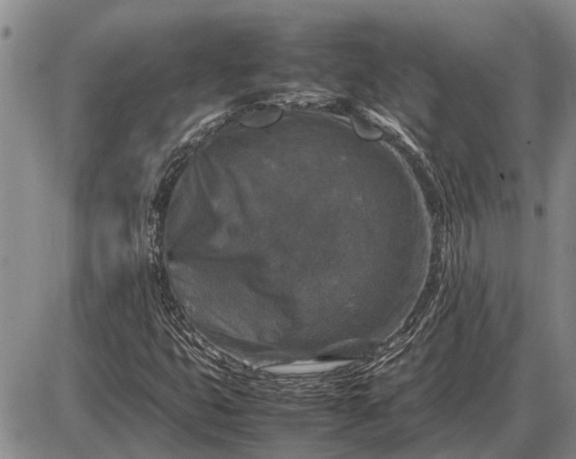 X0000085271399200703231729