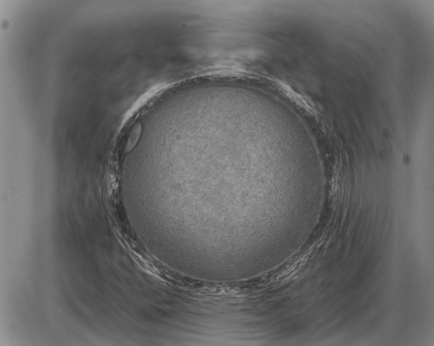 X0000085271400200703231729