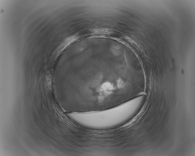 X0000085271401200703231729