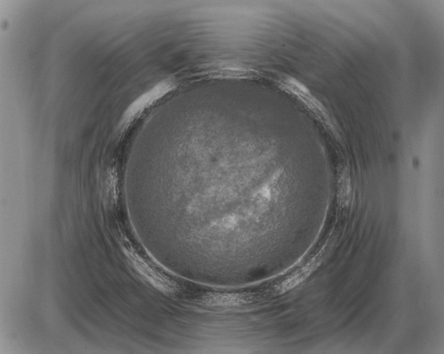 X0000085271402200703231729