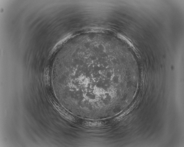 X0000085271403200703231729