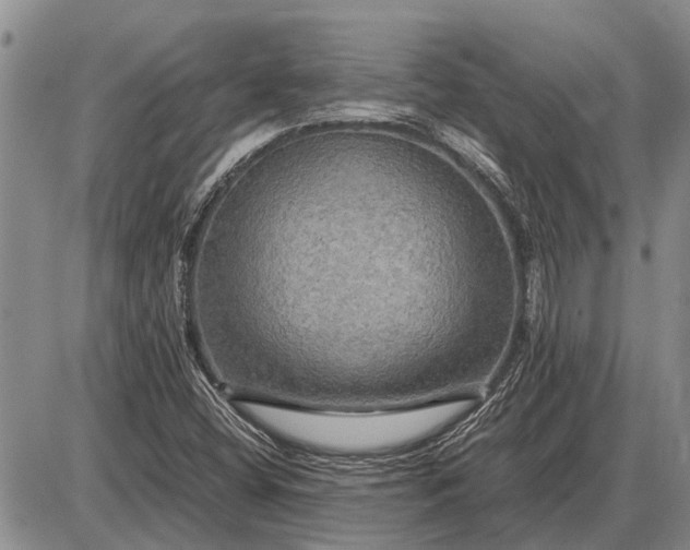 X0000085271404200703231729