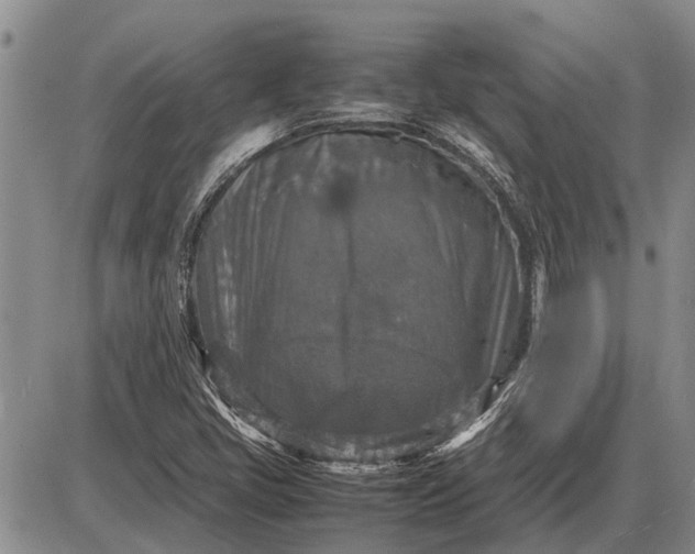 X0000085271405200703231729