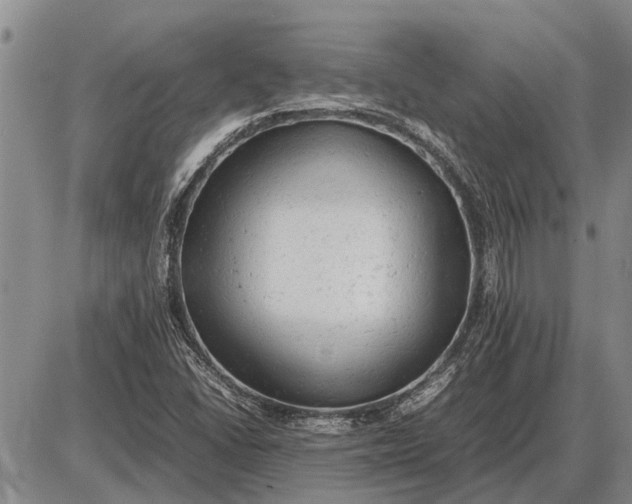 X0000085271406200703231729