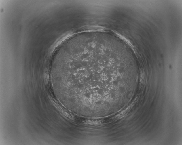 X0000085271407200703231729